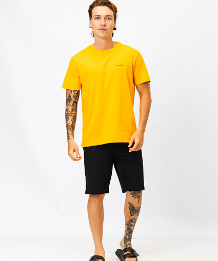 camiseta_soul_florienza_amarelo_mango_12124_1_d46a819cb8d9c01ccf601a1cc556789f.jpg