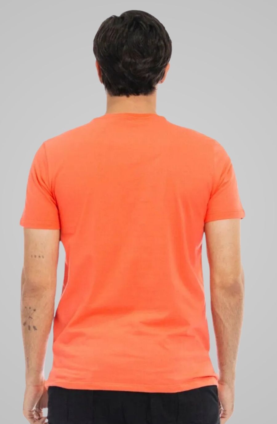 Camiseta Vangogh Salmão Siena