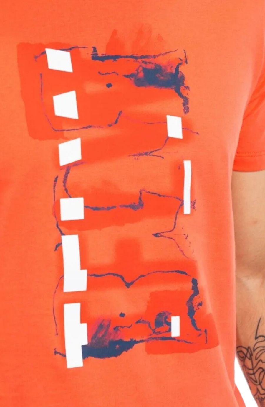 Camiseta Vangogh Salmão Siena